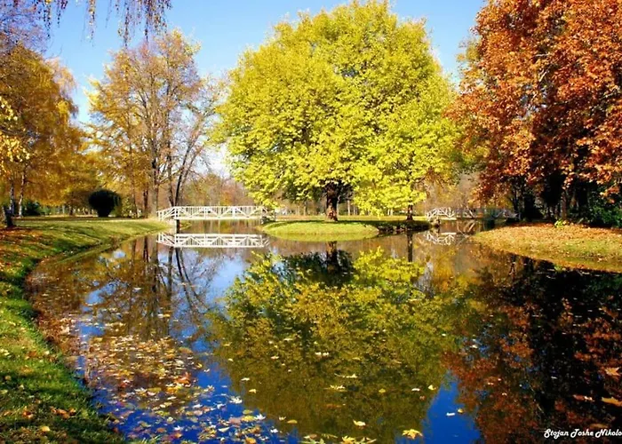 Modern & Spacious Duplex: Prime Location! Lejlighed